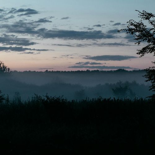 Silhouette of a tree with deep roots at sunrise.